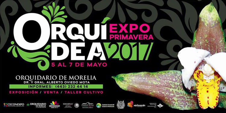 Expo Orquidea Primavera 2017