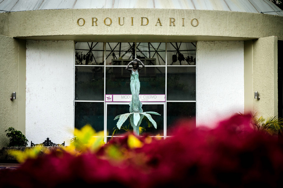 orquidario_1